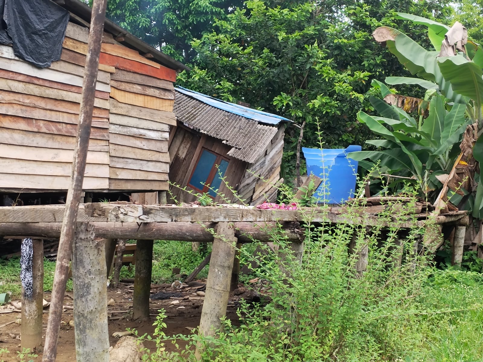 Viviendas de madera sobre pilotes, con un puente de tablas y una casa inclinada al fondo